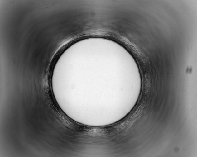 X0000103421166200810101012