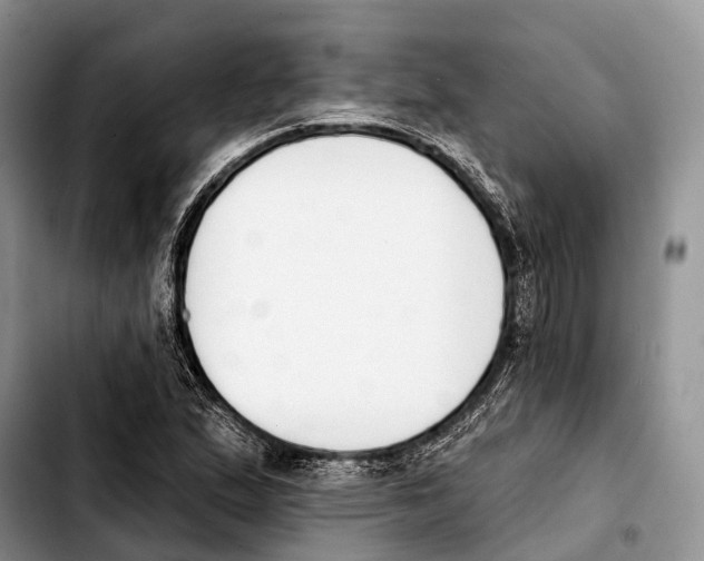 X0000103421167200810101012