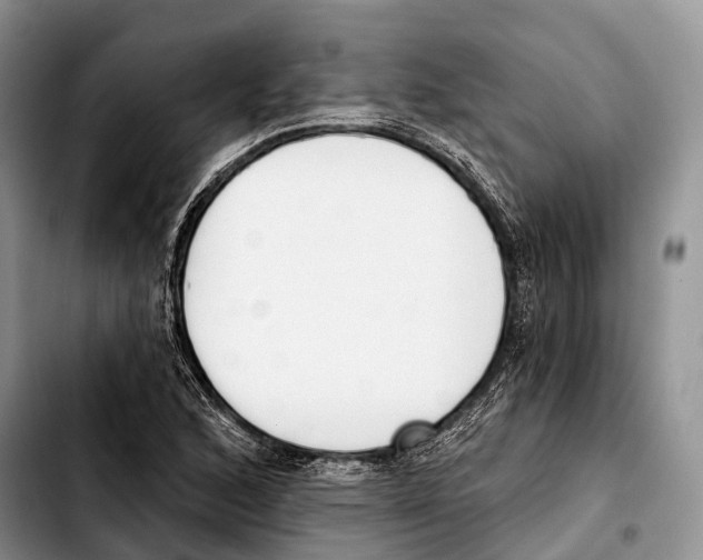 X0000103421168200810101012