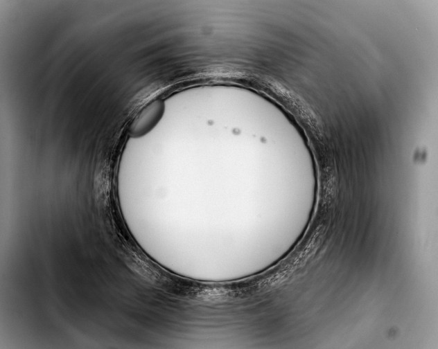 X0000103421169200810101012