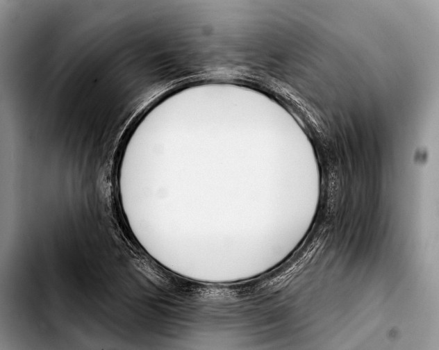 X0000103421170200810101012