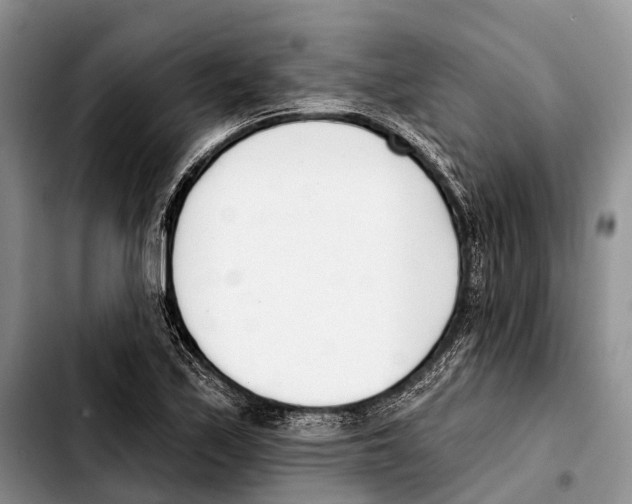 X0000103421171200810101012
