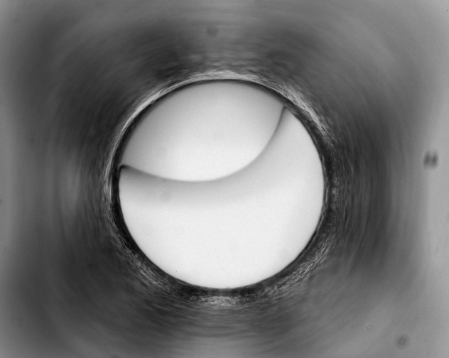 X0000103421173200810101012