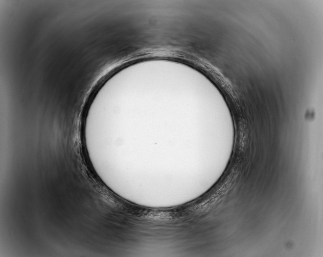X0000103421174200810101012