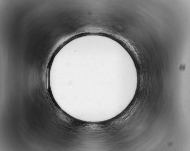 X0000103421175200810101012