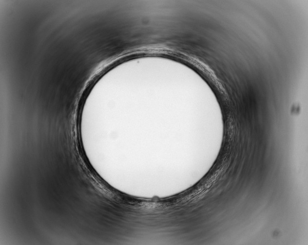 X0000103421176200810101012