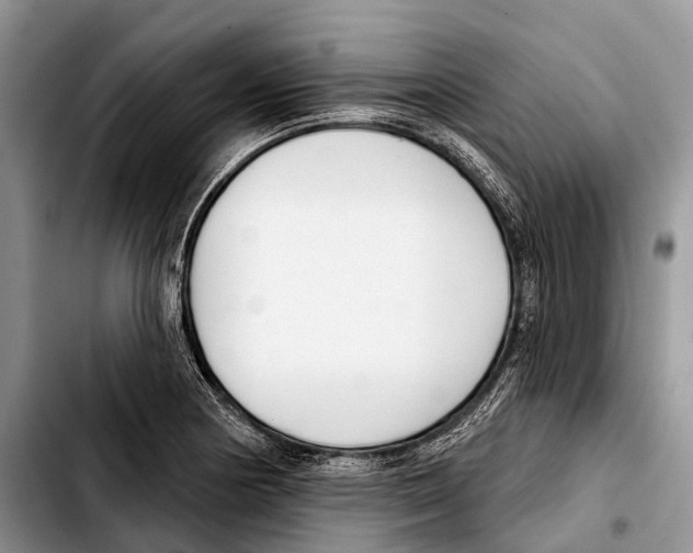 X0000103421178200810101012