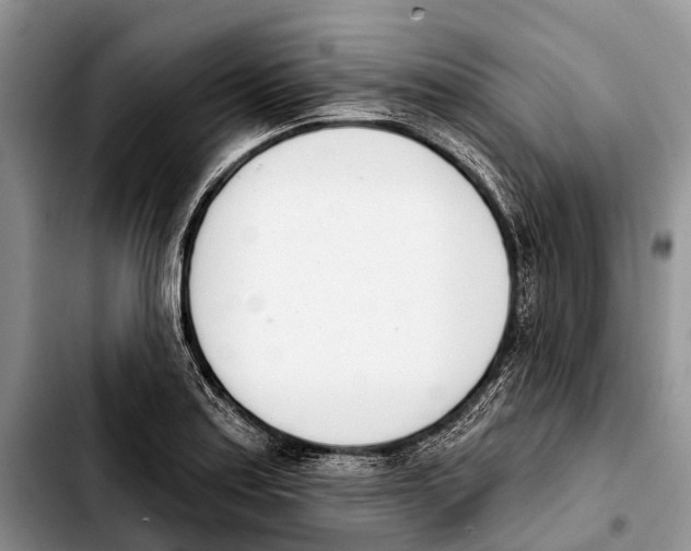 X0000103421179200810101012