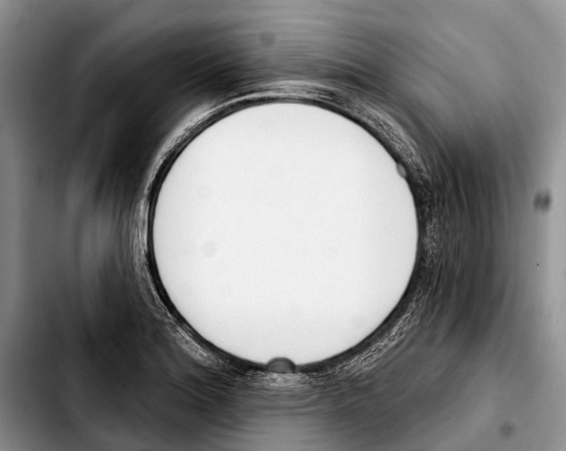 X0000103421180200810101012