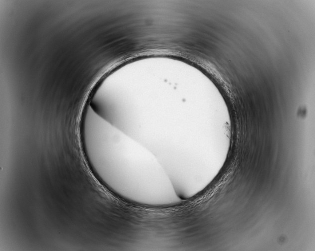 X0000103421181200810101012