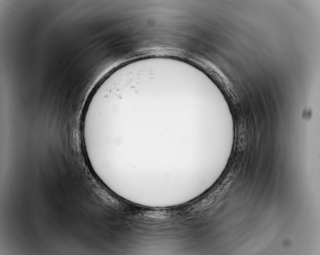 X0000103421182200810101012