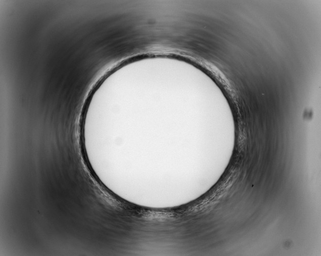 X0000103421183200810101012