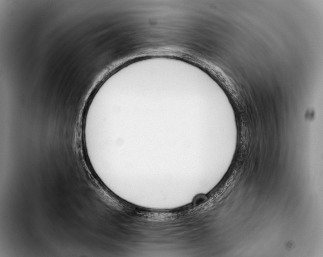 X0000103421184200810101012