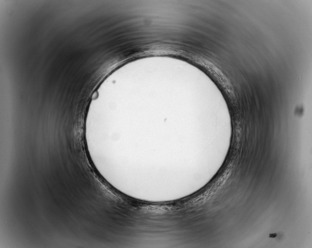 X0000103421185200810101012