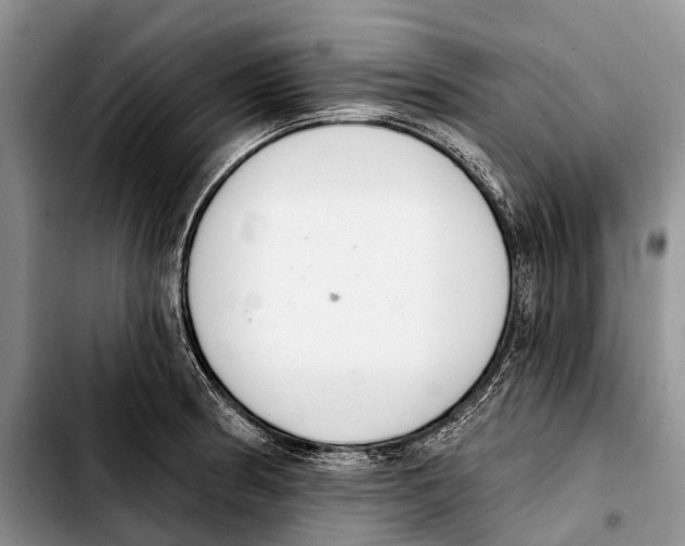 X0000103421186200810101012