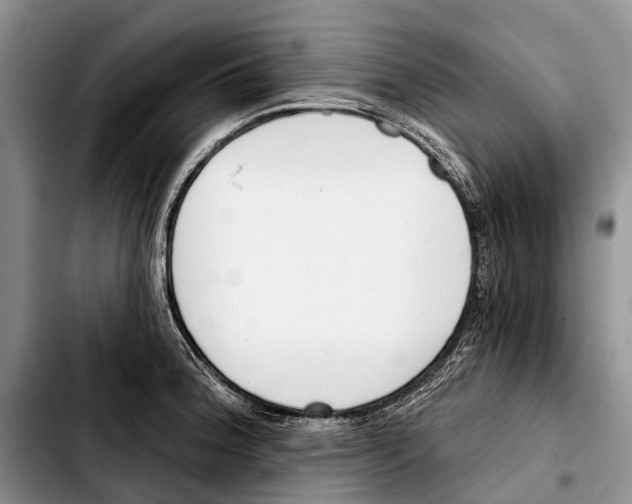 X0000103421188200810101012