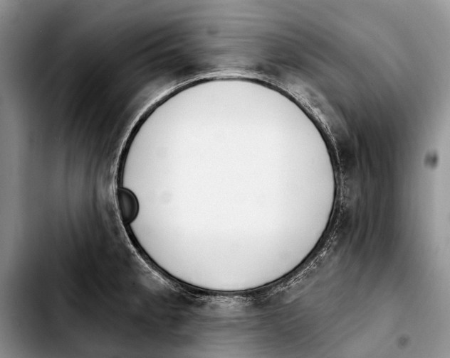 X0000103421189200810101012
