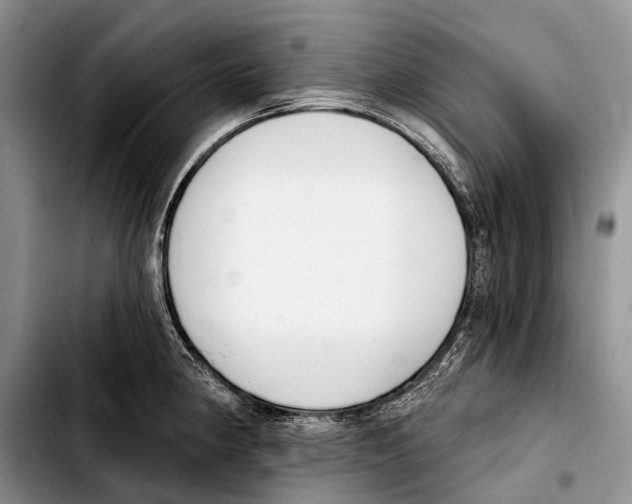 X0000103421190200810101012