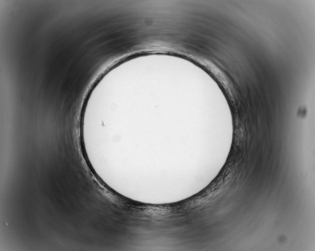 X0000103421191200810101012