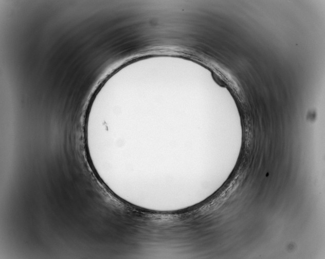 X0000103421192200810101012