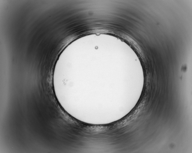 X0000103421193200810101012