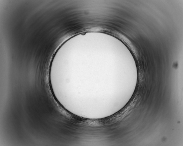 X0000103421194200810101012