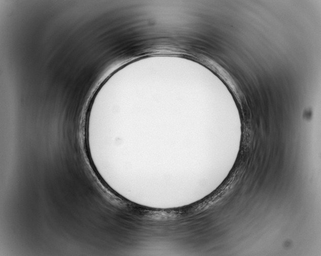 X0000103421195200810101012