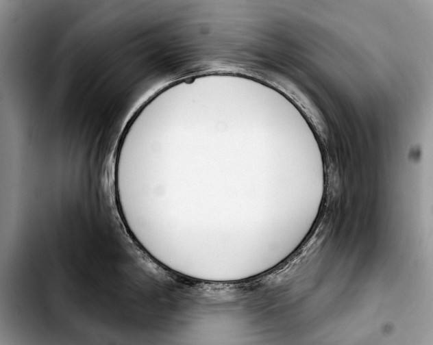 X0000103421198200810101012