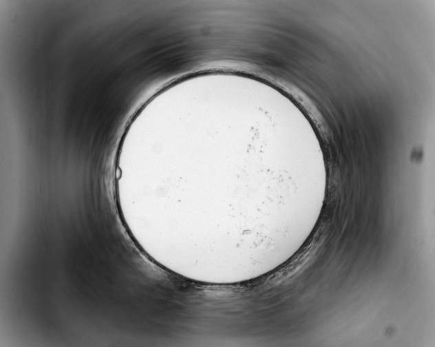 X0000103421199200810101012