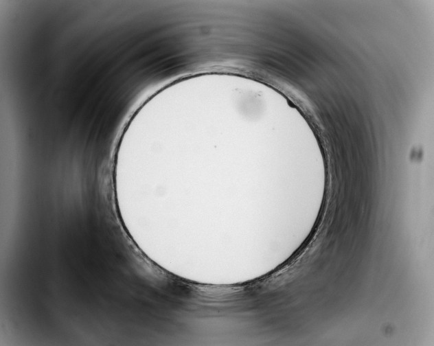 X0000103421200200810101012