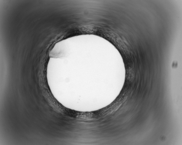 X0000103421201200810101011
