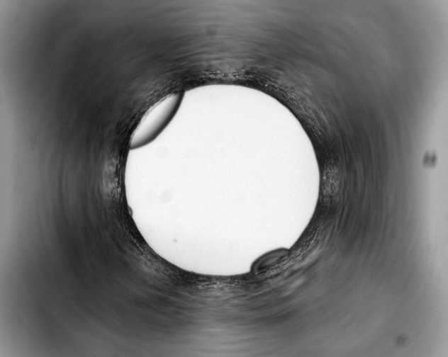 X0000103421202200810101011