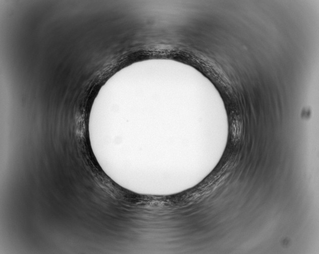 X0000103421204200810101011