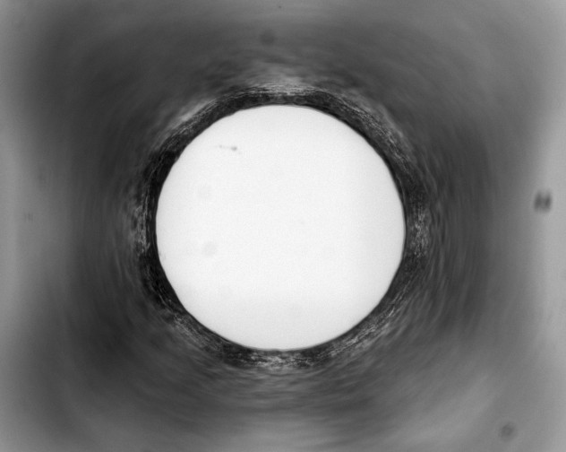 X0000103421205200810101011