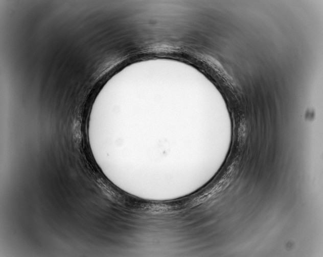 X0000103421209200810101011