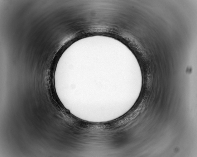 X0000103421210200810101011