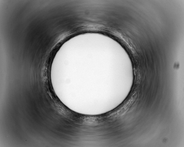 X0000103421211200810101011