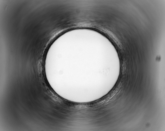 X0000103421212200810101011