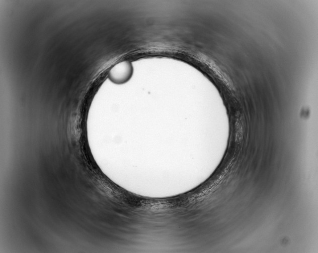 X0000103421213200810101011