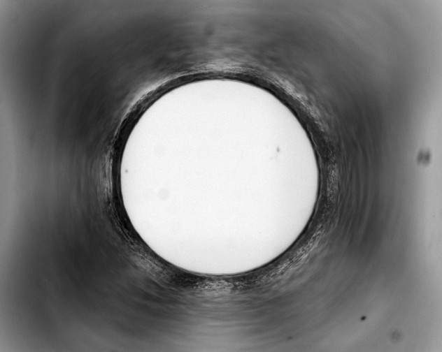 X0000103421214200810101011