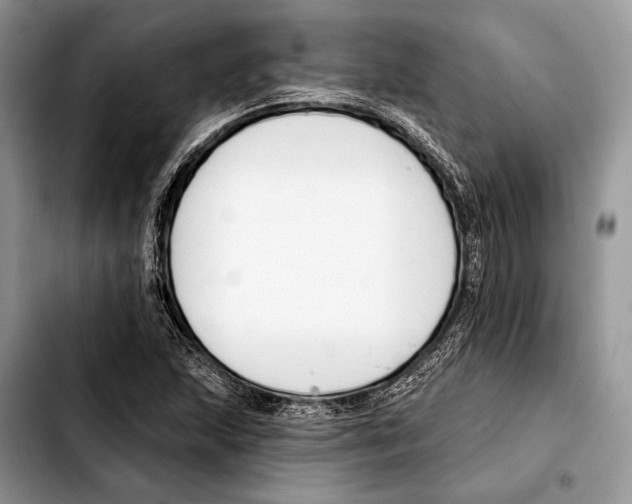 X0000103421215200810101011