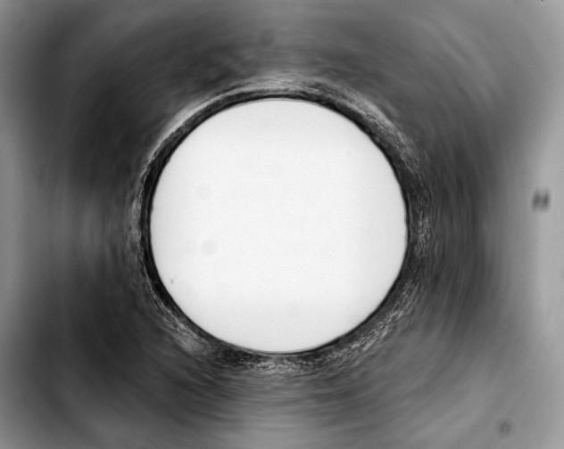 X0000103421216200810101011