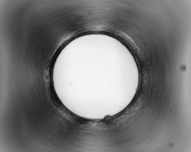 X0000103421218200810101011