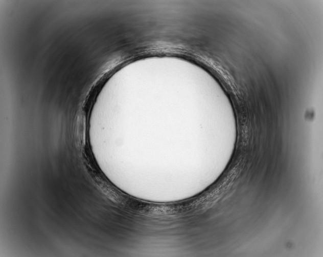 X0000103421219200810101011