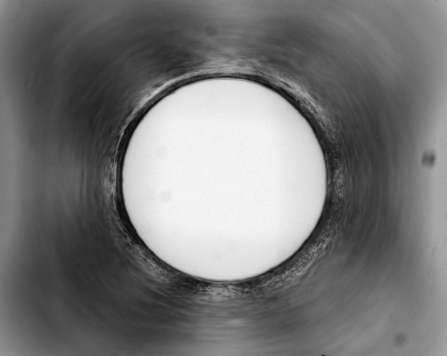 X0000103421220200810101011