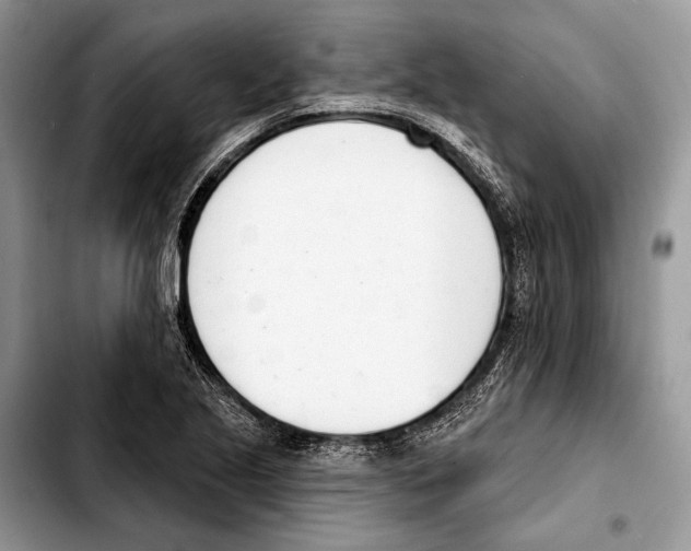 X0000103421221200810101011