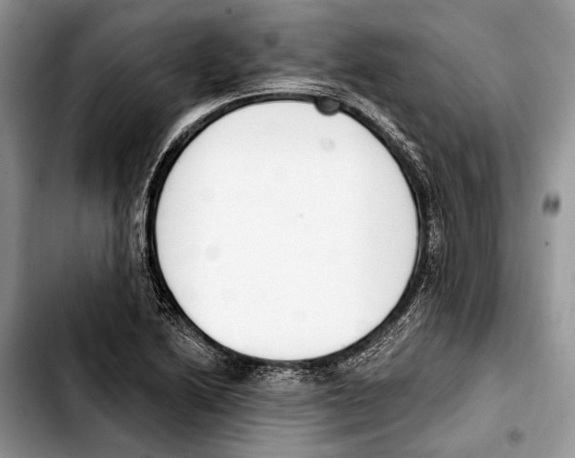 X0000103421222200810101011