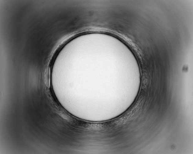 X0000103421223200810101011