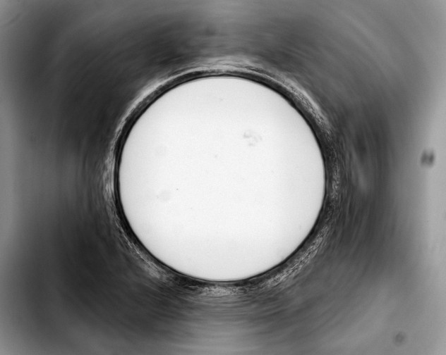 X0000103421224200810101011