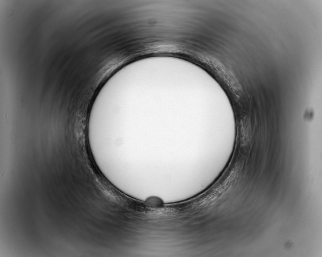 X0000103421225200810101011